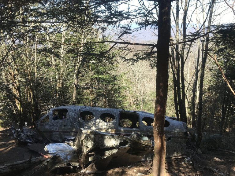 Husband And Wife Die In Plane Crash
