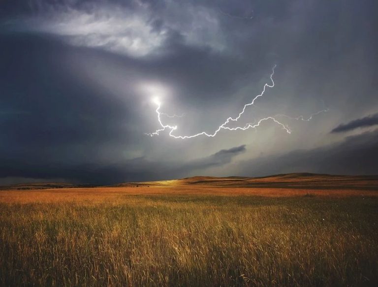 Wyoming Horse Saves Riders Life When Struck By Lightning
