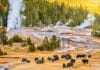 Lose the Crowds in Yellowstone’s Upper Geyser Basin