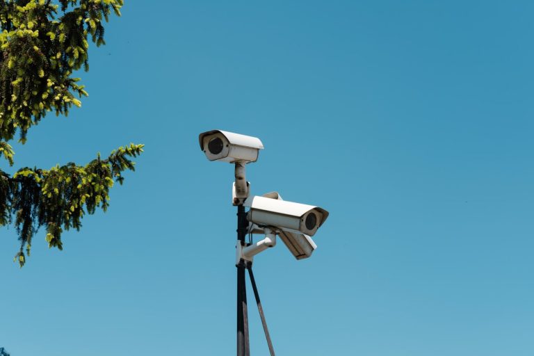 DHS documents claim Americans ‘opt-in’ to being spied on