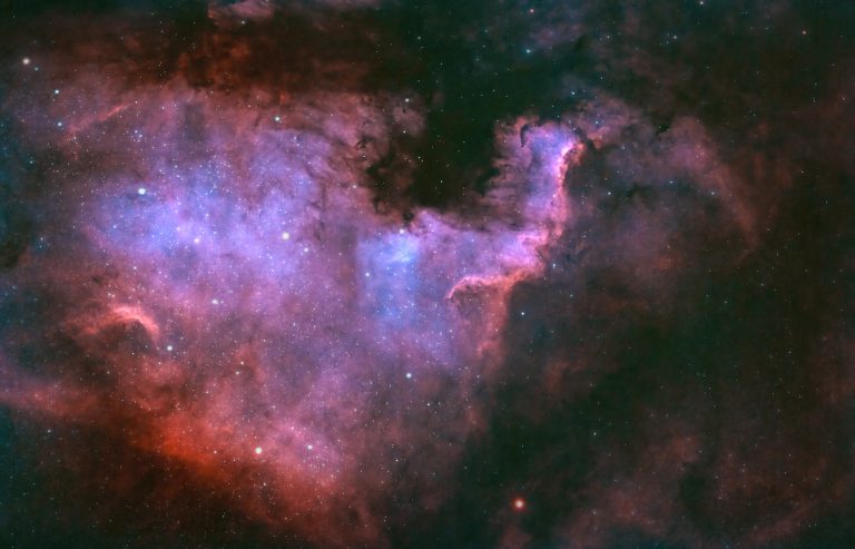 The Case For Heaven:  What Happens When We Die?