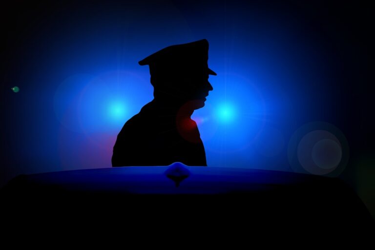 Cody Wyo Police Department Blotter Report