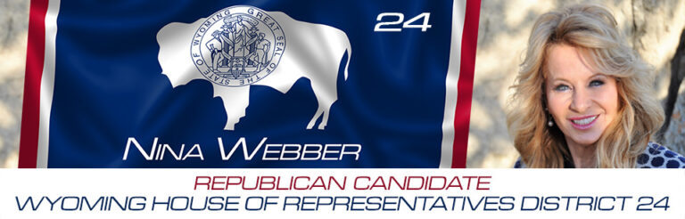 Cody Woman, Nina Webber Requested Recount of Ballots Cast In House District #24