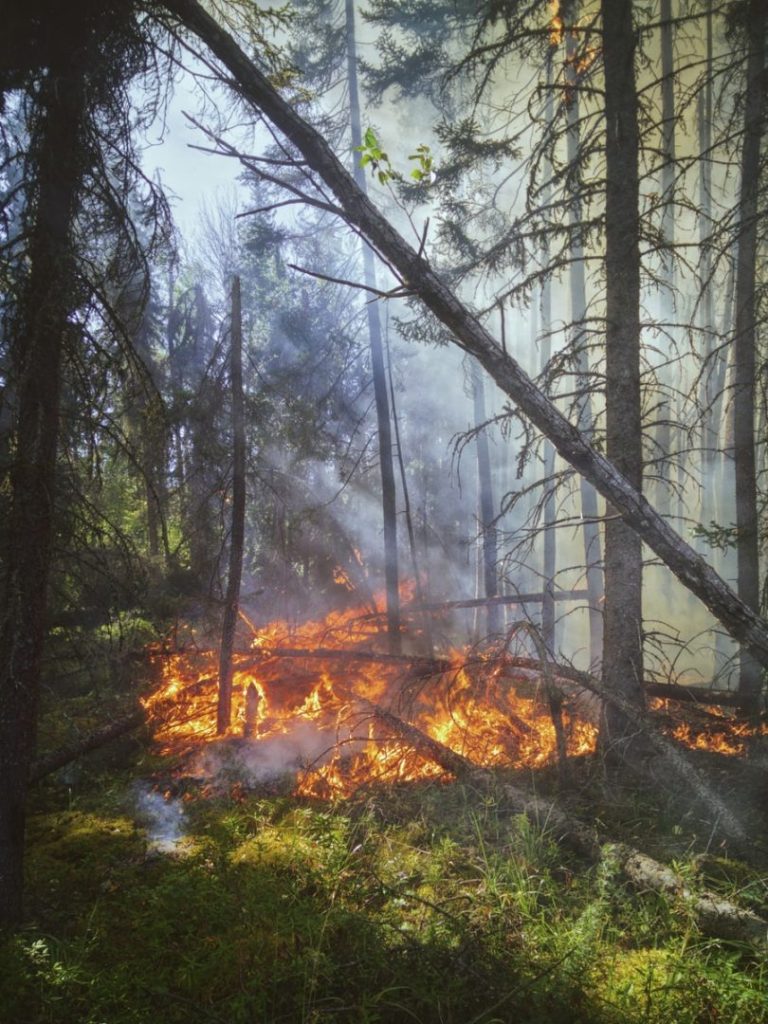 Sugarloaf Fire in Albany County Continues to spread