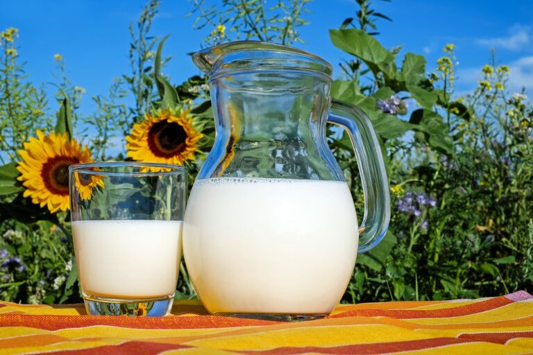 100% Grass-Fed Organic Dairy Benefits Consumers, Environment, Cows and Family Farms