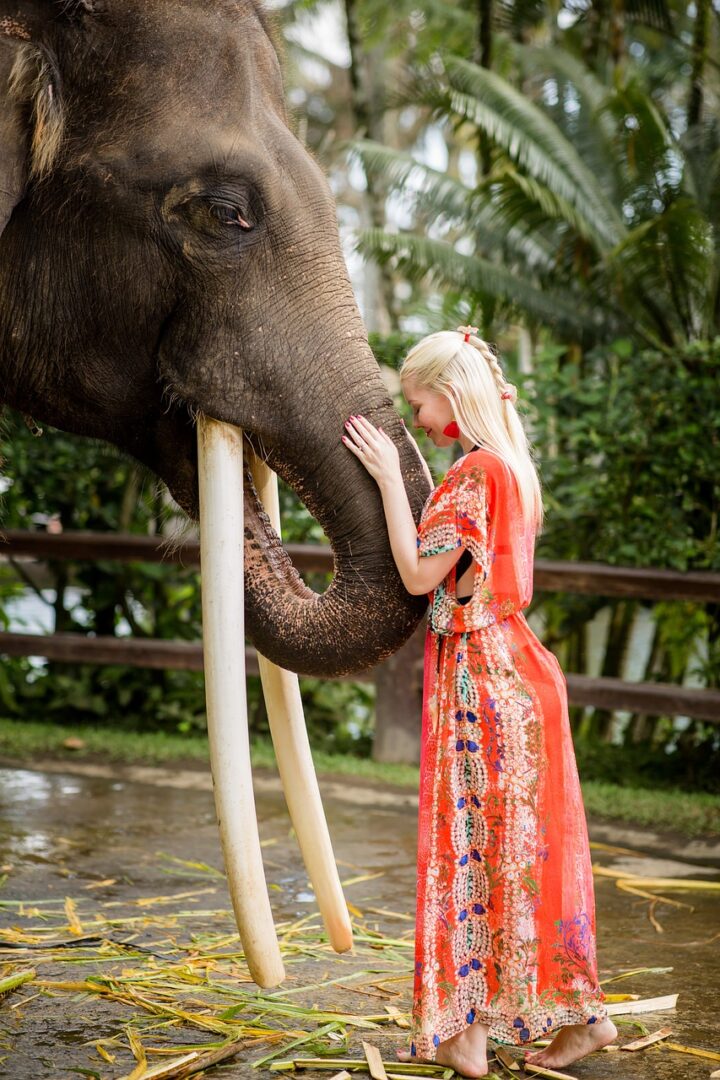 Feds Punish Carson & Barnes For Elephant Escape After Tip-Off from PETA