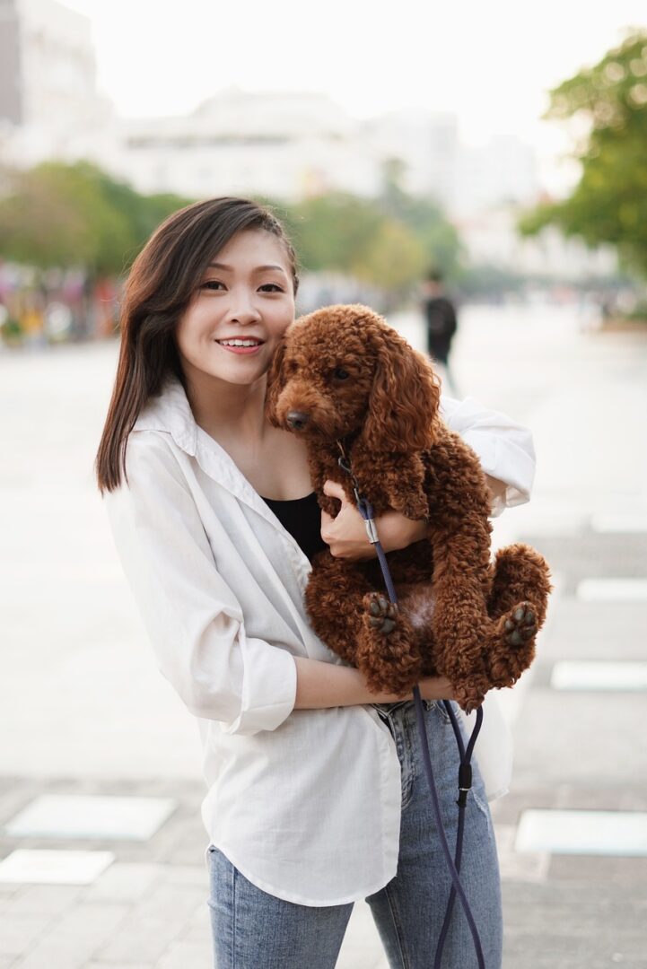 Pet-FriendlyTravel Tips For Summer Family Trips